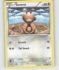 Sentret Common XY - Flashfire 81/106 NM