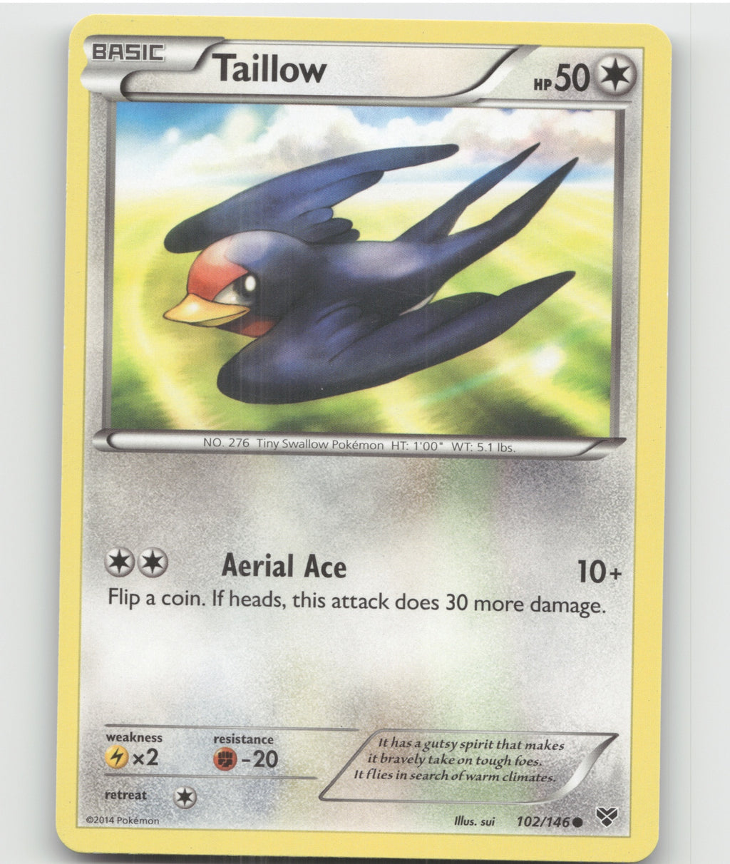 Taillow Common XY Base Set 102/146 LP
