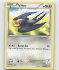 Taillow Common XY Base Set 102/146 LP