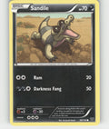 Sandile Common XY Base Set 69/146 LP