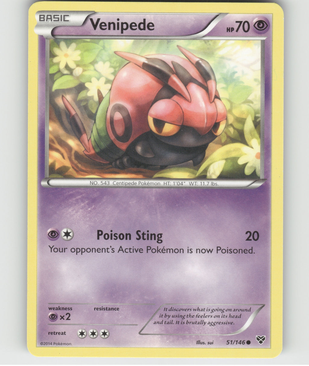 Venipede Common XY Base Set 51/146 LP
