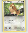 Pidgey Common XY - Flashfire 75/106 NM