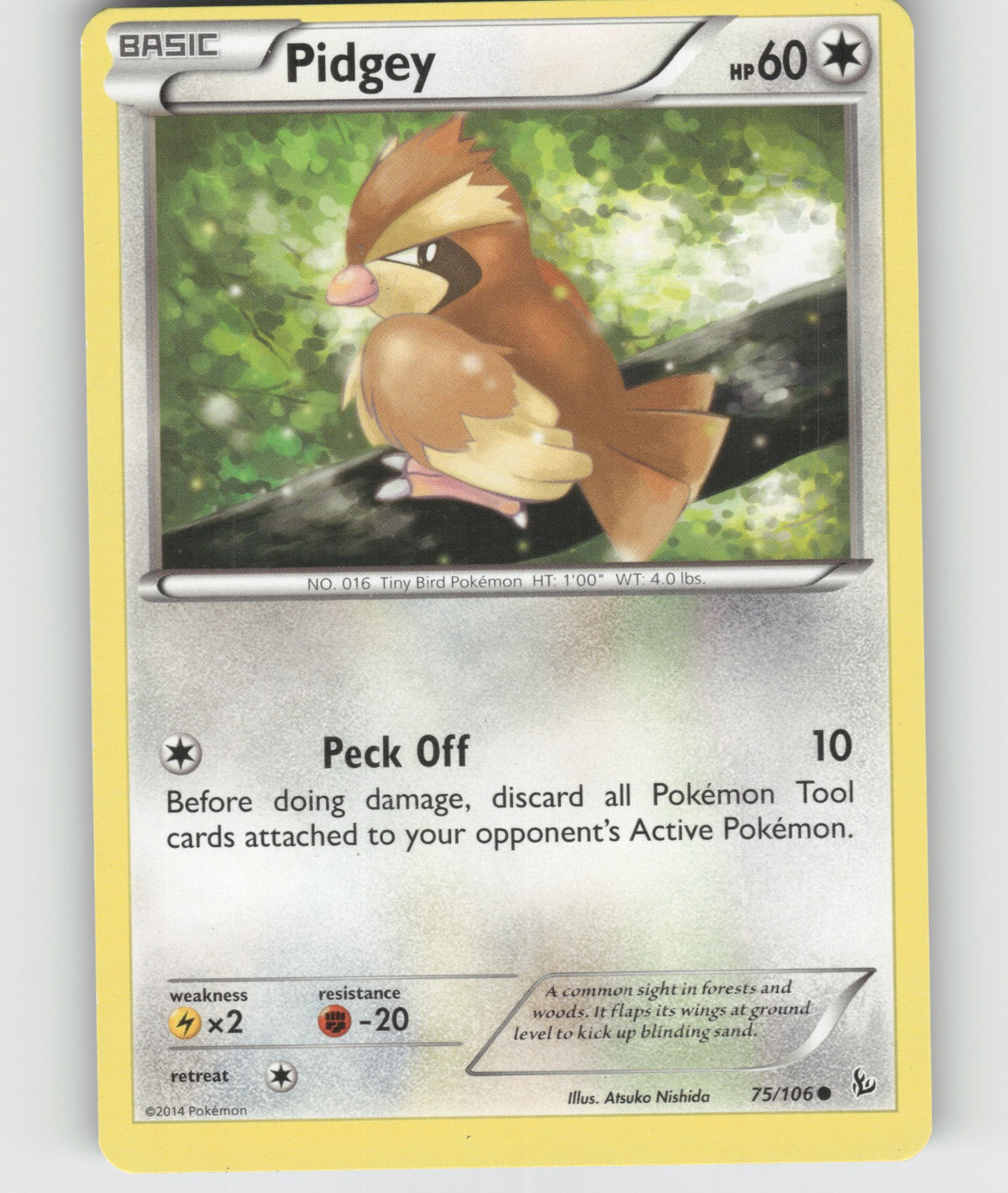 Pidgey Common XY - Flashfire 75/106 NM