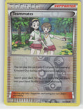 Teammates Reverse Holo Uncommon XY - Primal Clash 141/160 NM