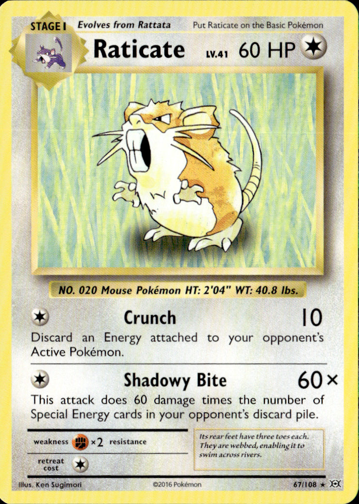 Raticate Rare XY - Evolutions 67/108 NM