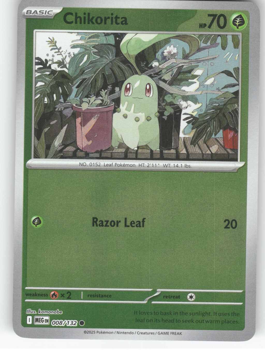 Chikorita Reverse Holo Common ME01: Mega Evolution 008/132 NM