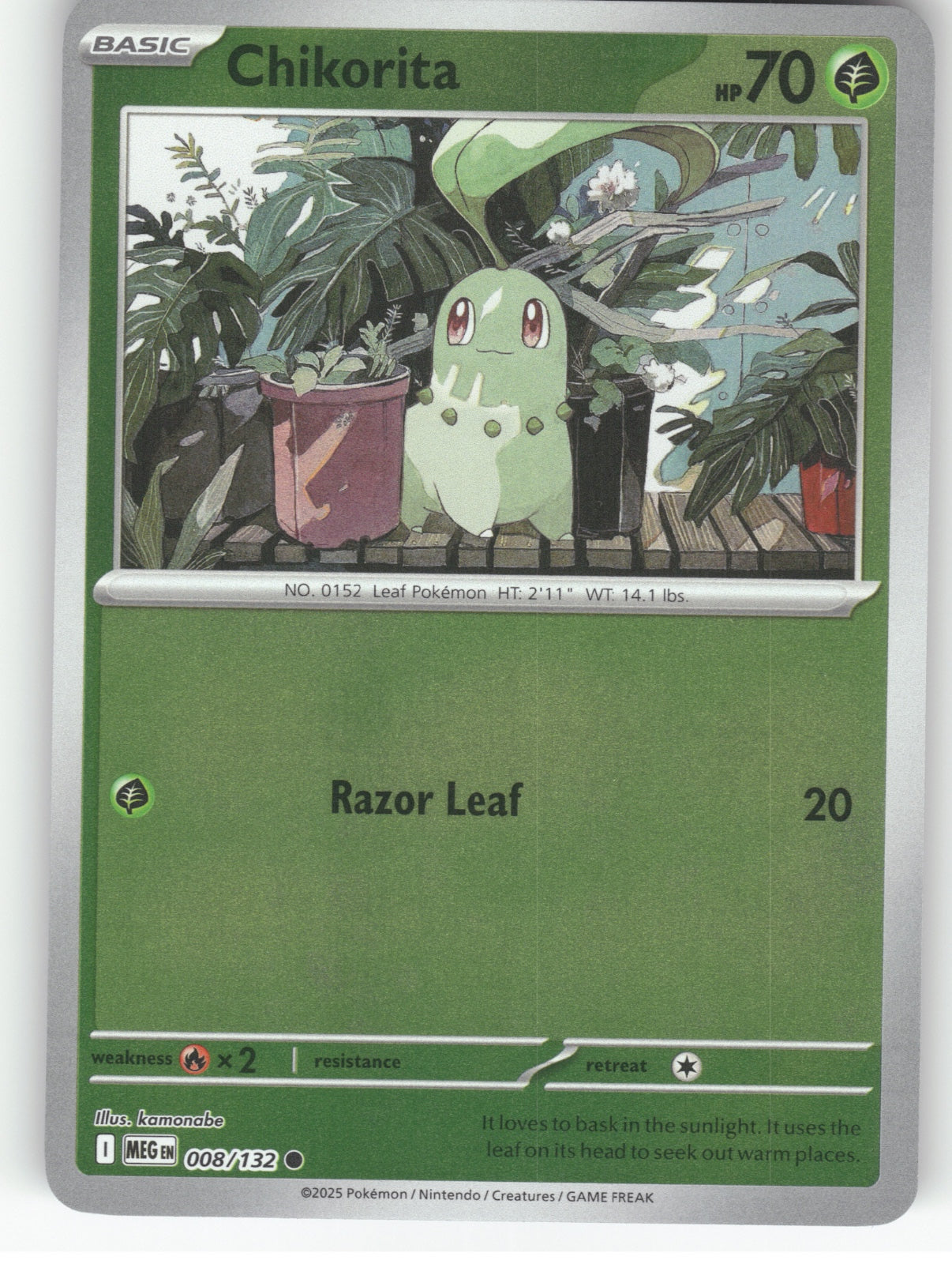 Chikorita Reverse Holo Common ME01: Mega Evolution 008/132 NM