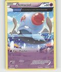 Tentacool (Alpha) Uncommon XY - Primal Clash 71/160 NM