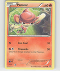 Pansear Common XY Base Set 22/146 LP