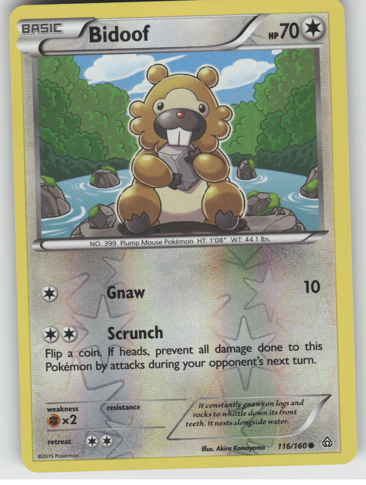 Bidoof Reverse Holo Common XY - Primal Clash 116/160 NM