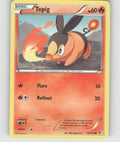 Tepig Common Boundaries Crossed 24/149 NM