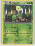 Bellsprout Reverse Holo Common XY - Furious Fists 1/111 NM