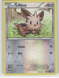 Lillipup Reverse Holo Common XY Base Set 108/146 NM