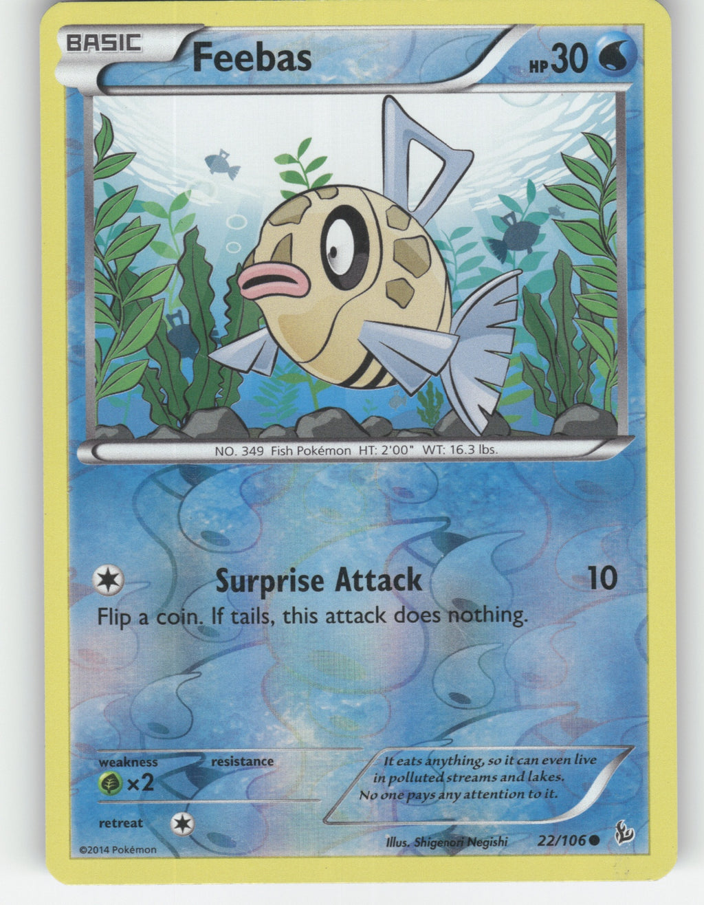 Feebas Reverse Holo Common XY - Flashfire 22/106 NM