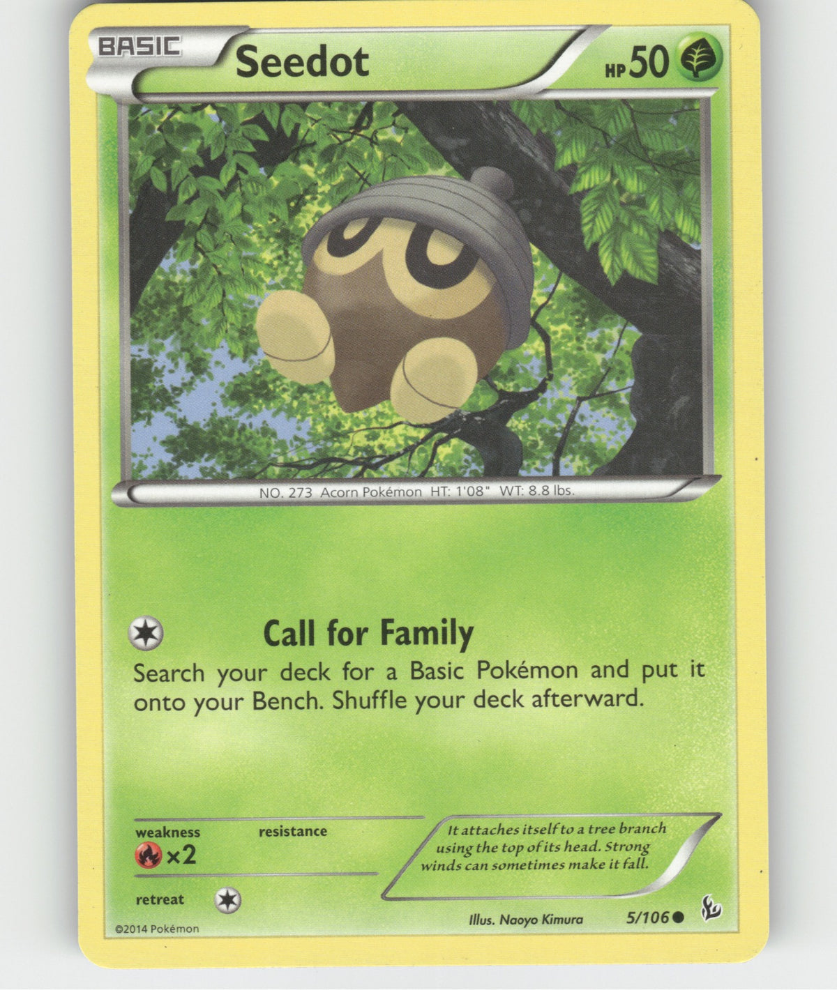 Seedot Common XY - Flashfire 5/106 NM
