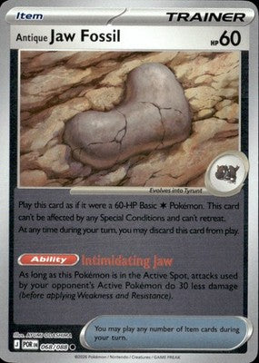 Antique Jaw Fossil Perfect Order #068/088 Near Mint