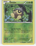 Seedot Reverse Holo Common XY - Flashfire 5/106 NM