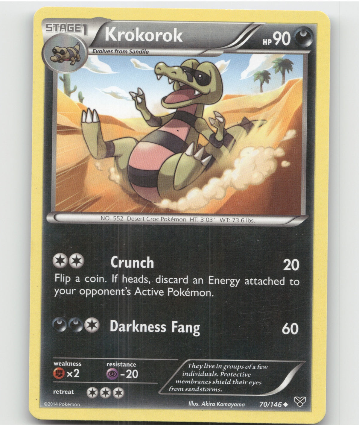 Krokorok Uncommon XY Base Set 70/146 LP