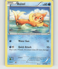 Buizel Common XY - Flashfire 28/106 NM