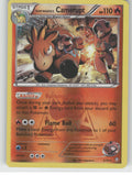 Team Magma's Camerupt Reverse Holo Holo Rare Double Crisis 2/34 NM