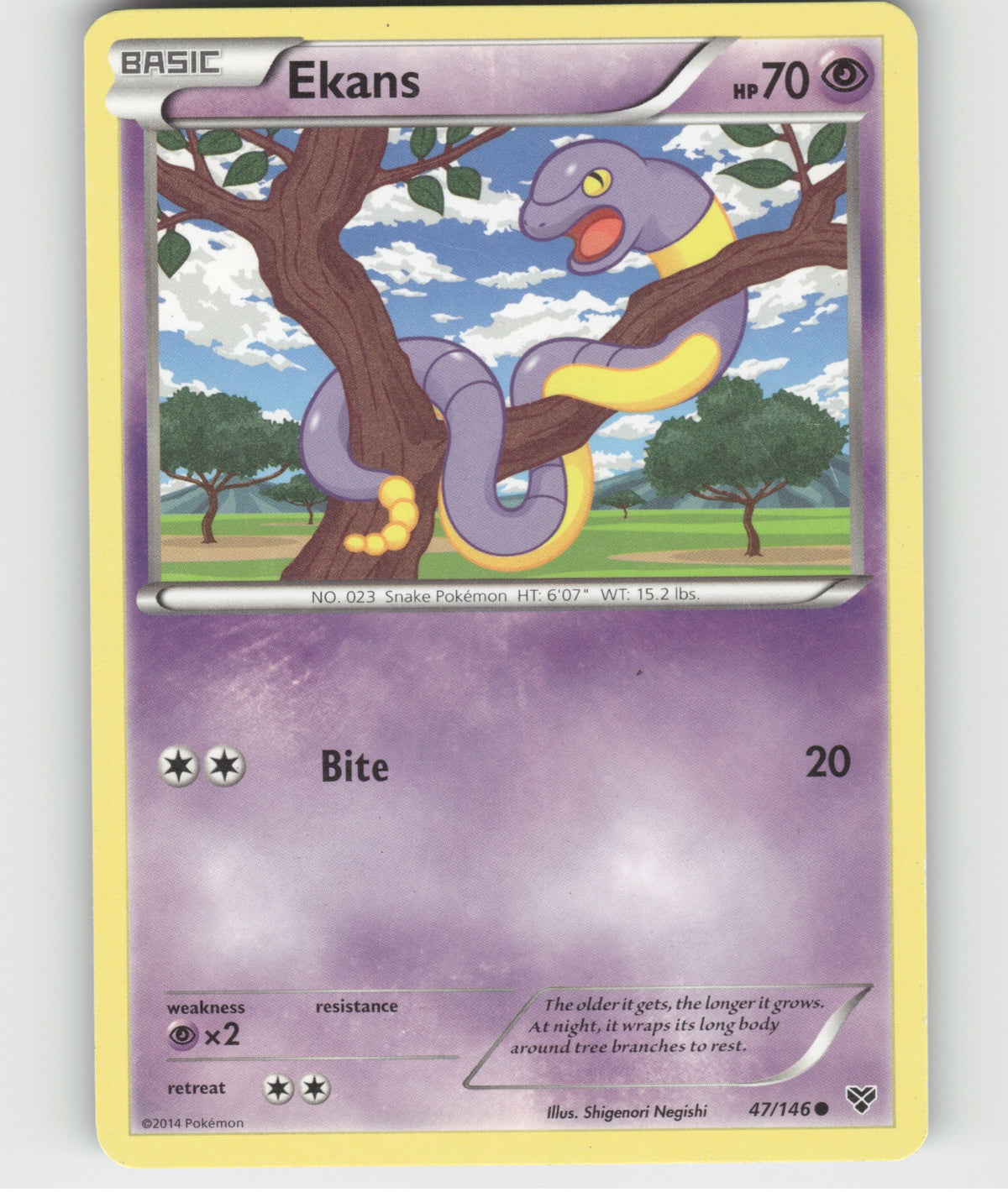 Ekans Common XY Base Set 47/146 LP