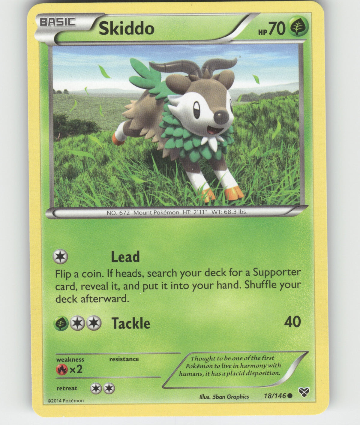 Skiddo Common XY Base Set 18/146 LP