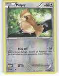 Pidgey Reverse Holo Common XY - Flashfire 75/106 NM