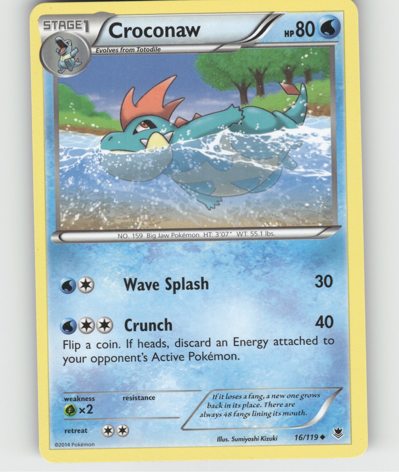 Croconaw Uncommon XY - Phantom Forces 16/119 NM