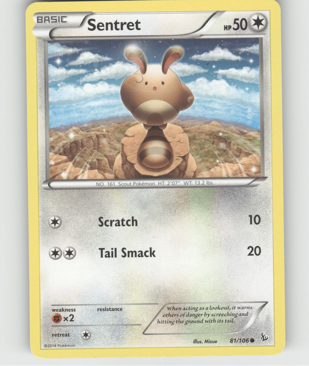 Sentret Common XY - Flashfire 81/106 NM