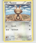 Sentret Common XY - Flashfire 81/106 NM