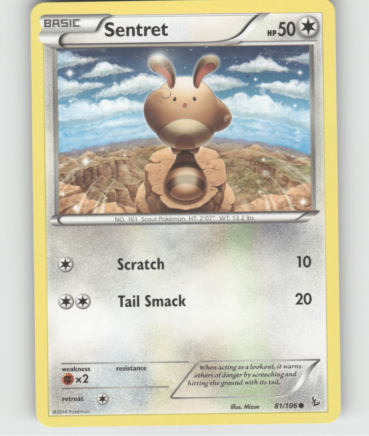 Sentret Common XY - Flashfire 81/106 NM