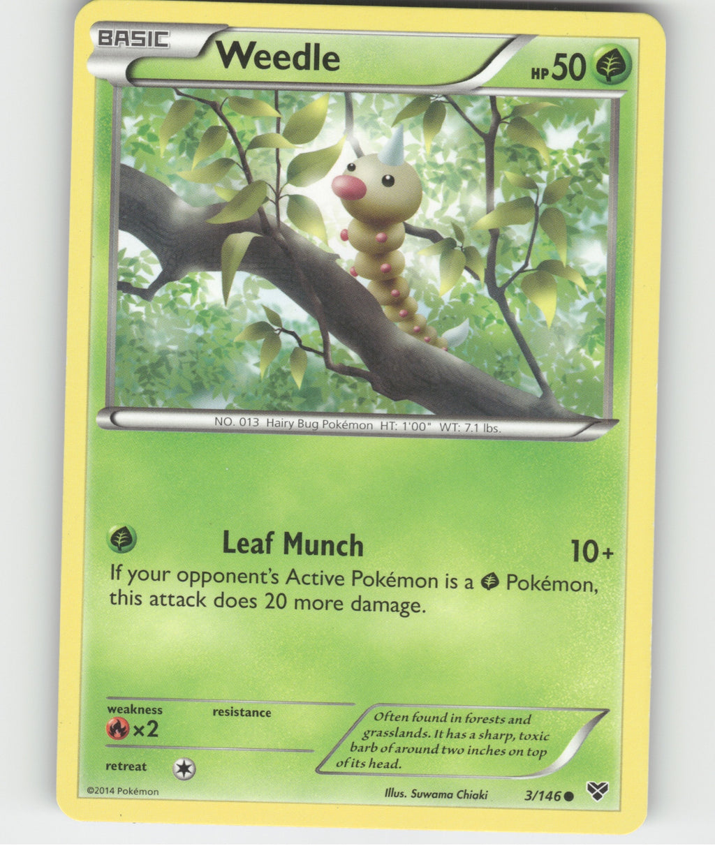 Weedle Common XY Base Set 3/146 LP