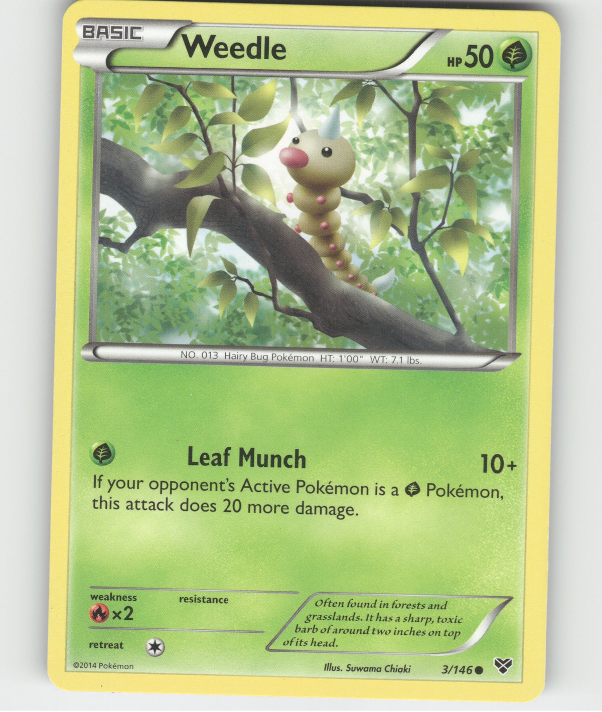 Weedle Common XY Base Set 3/146 LP