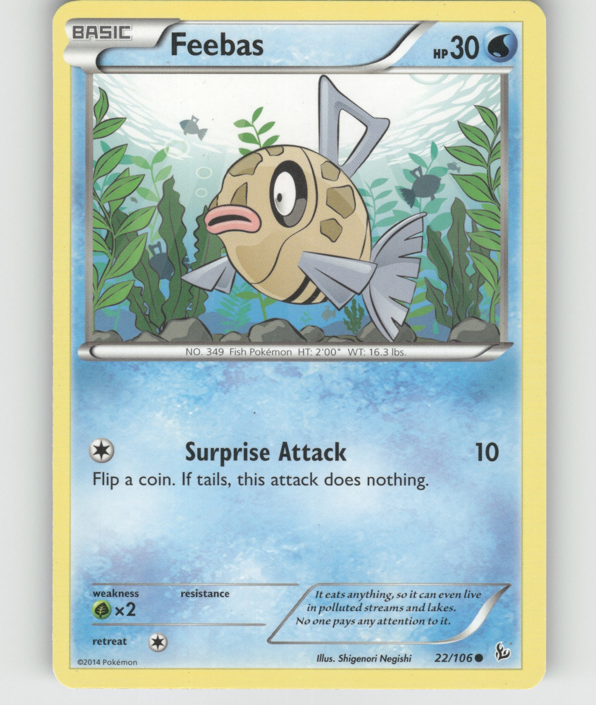 Feebas Common XY - Flashfire 22/106 NM