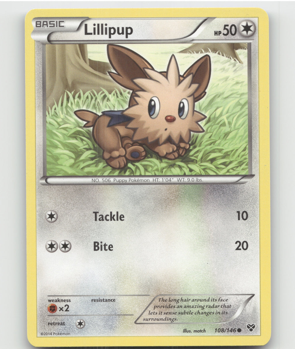 Lillipup Common XY Base Set 108/146 LP