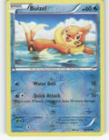 Buizel Reverse Holo Common XY - Flashfire 28/106 NM