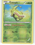 Caterpie Reverse Holo Common XY - Flashfire 1/106 NM