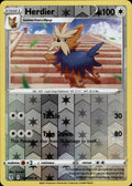 Herdier Reverse Holo Uncommon SWSH07: Evolving Skies 134/203 NM