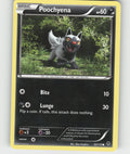 Poochyena Common XY - Phantom Forces 53/119 NM