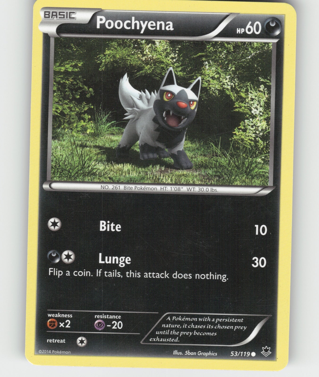 Poochyena Common XY - Phantom Forces 53/119 NM