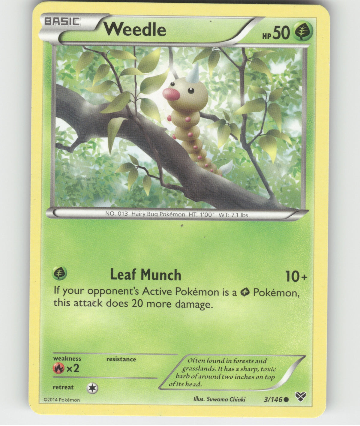 Weedle Common XY Base Set 3/146 LP
