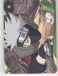 A Feeling Of Yearning, A Flower Full Of Hope\n3/5 Base R Earth Scroll Series 1 0 front