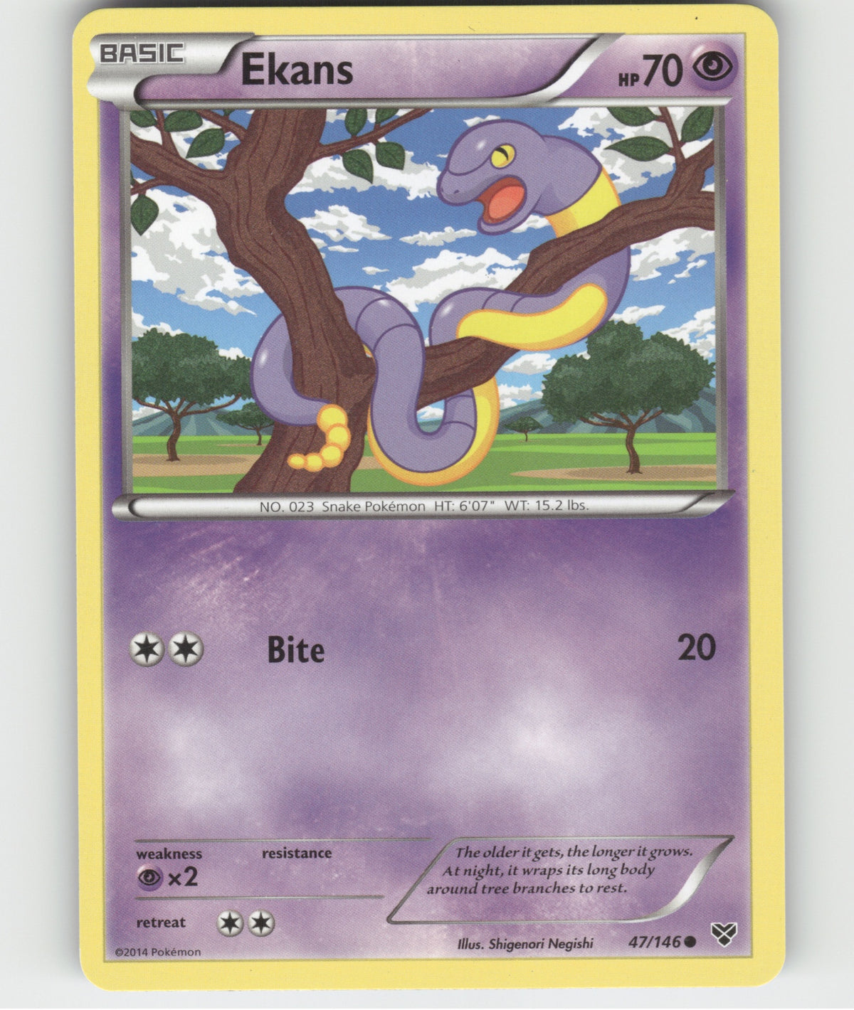 Ekans Common XY Base Set 47/146 LP