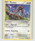 Furfrou Uncommon XY - Flashfire 87/106 NM