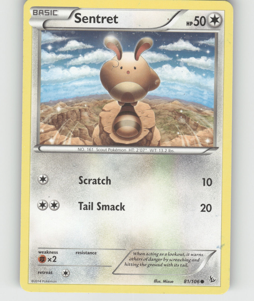 Sentret Common XY - Flashfire 81/106 NM