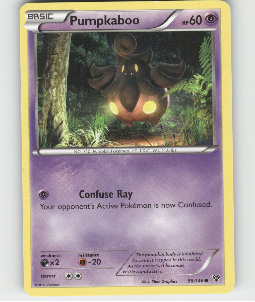 Pumpkaboo Common XY Base Set 56/146 LP