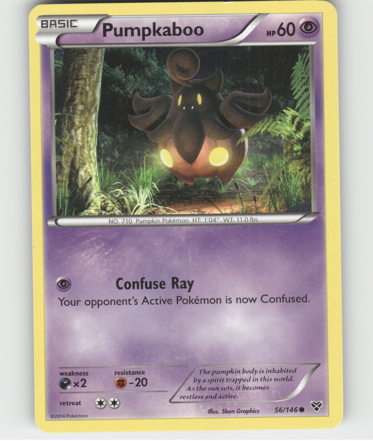 Pumpkaboo Common XY Base Set 56/146 LP