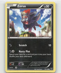 Zorua Common XY Base Set 72/146 LP