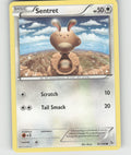 Sentret Common XY - Flashfire 81/106 NM