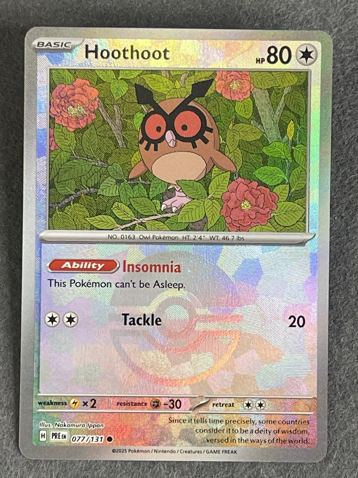 Hoothoot 2025 Prismatic Evolutions #077/131 Near Mint